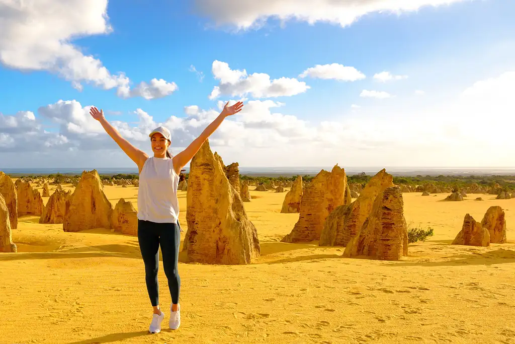 Pinnacles, Lavender Farm & Lobster Shack Tour | Perth
