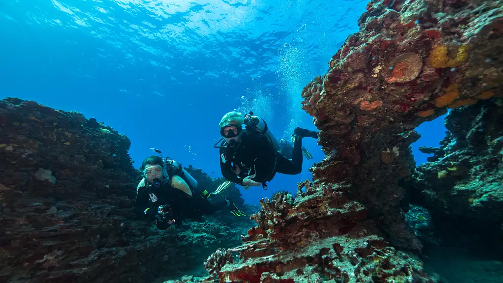 Shallow Reefs Dive Tour