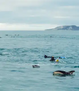 8 Day NZ Southern Secrets Small Group Tour | Kiwi Experience