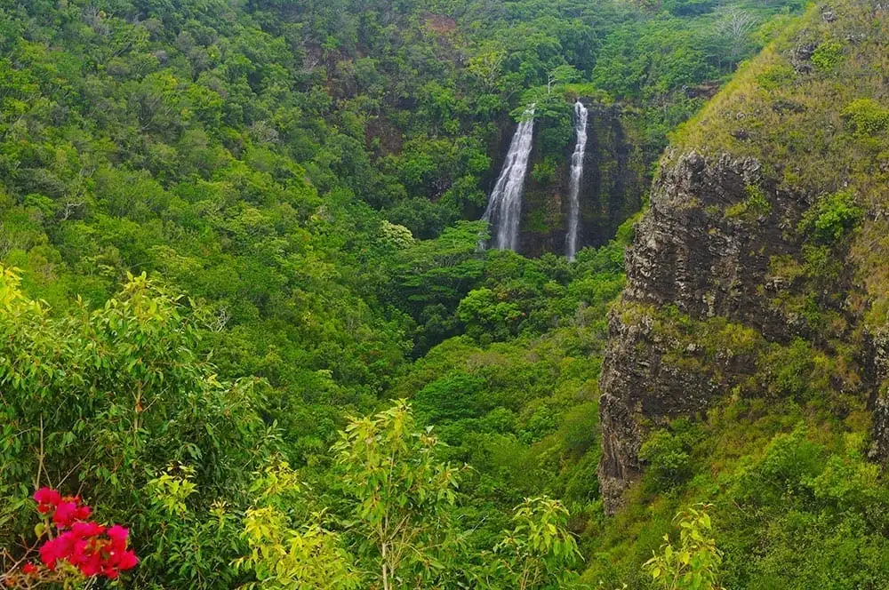 Kauai Movie Adventure Tour
