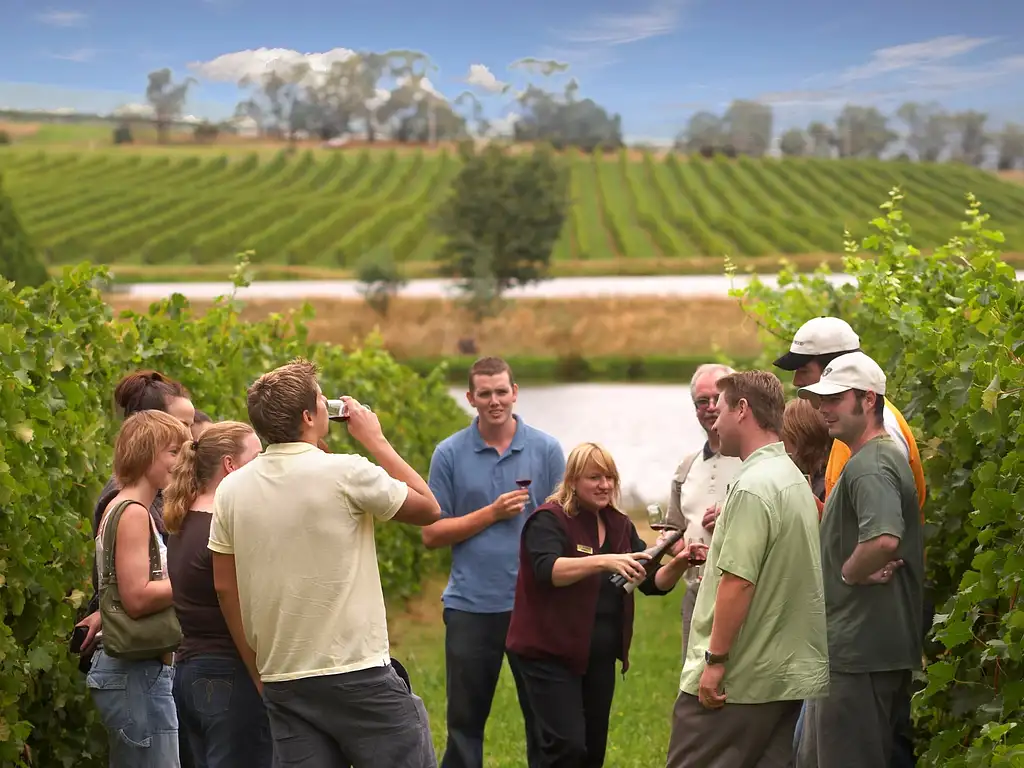 1 Day Yarra Valley Wine Tour