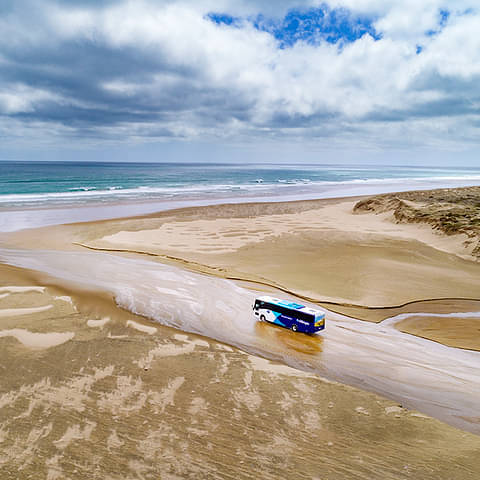 90 Ninety Mile beach tour