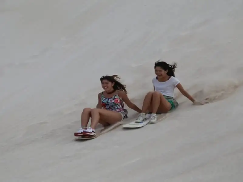 1D Pinnacles Desert Explorer Tour with Lancelin Sand Boarding Tour