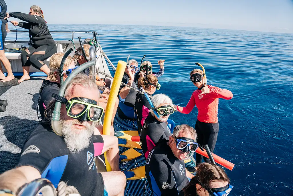 Swimming with Whale Sharks – March to August