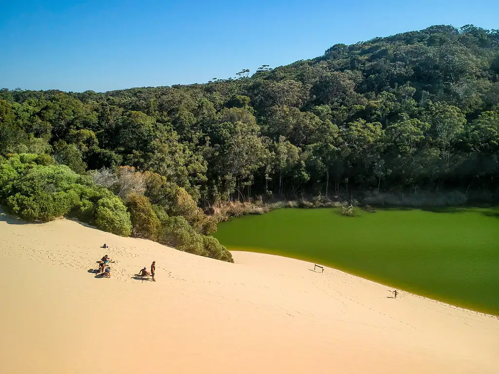 Dingos 3 Day K'gari (Fraser Island) 4WD Tag-Along Adventure
