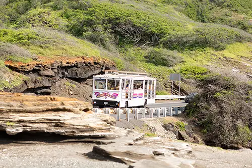 Waikiki Trolley – All Line Pass