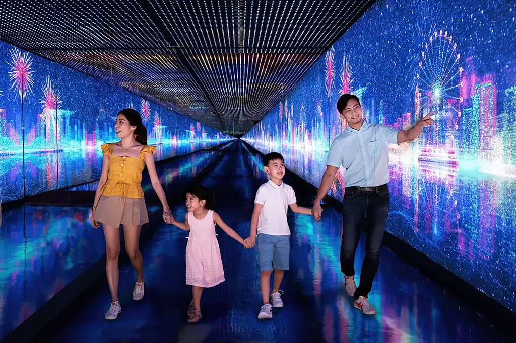 Singapore Flyer Observation Wheel and Time Capsule Entry Ticket