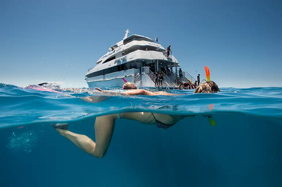 Daintree Rainforest & Great Barrier Reef 2 Day Package **SAVE $49pp**
