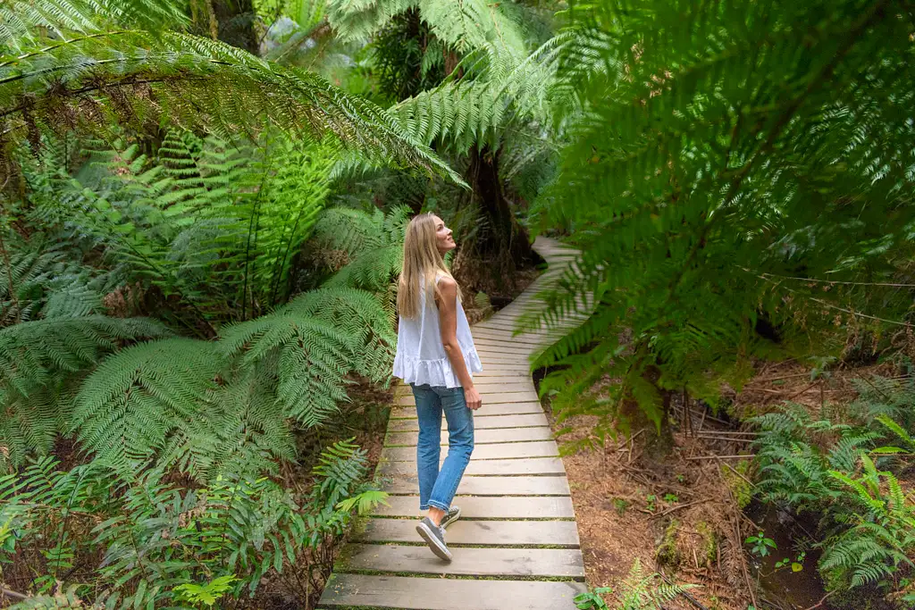 2 Day Great Ocean Road Tour | Melbourne to Adelaide