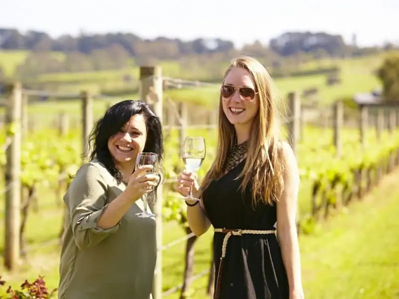 Puffing Billy Steam Train & Yarra Valley Wineries Tour