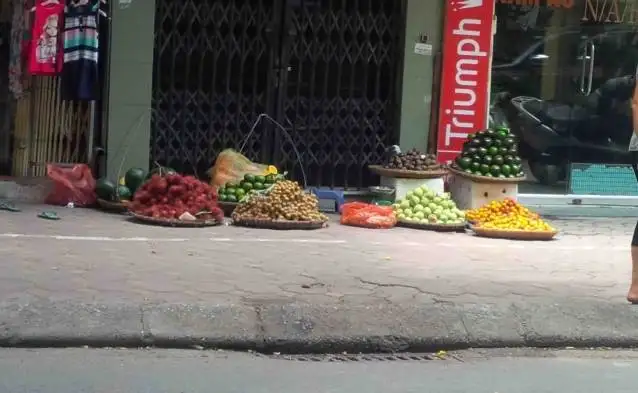 Discover Rare Tropical Fruits