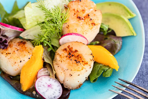 Fremantle to Rottnest Island Luxe Seafood Cruise Deals