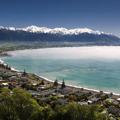 Kaikoura Day Trip From Christchurch Deals