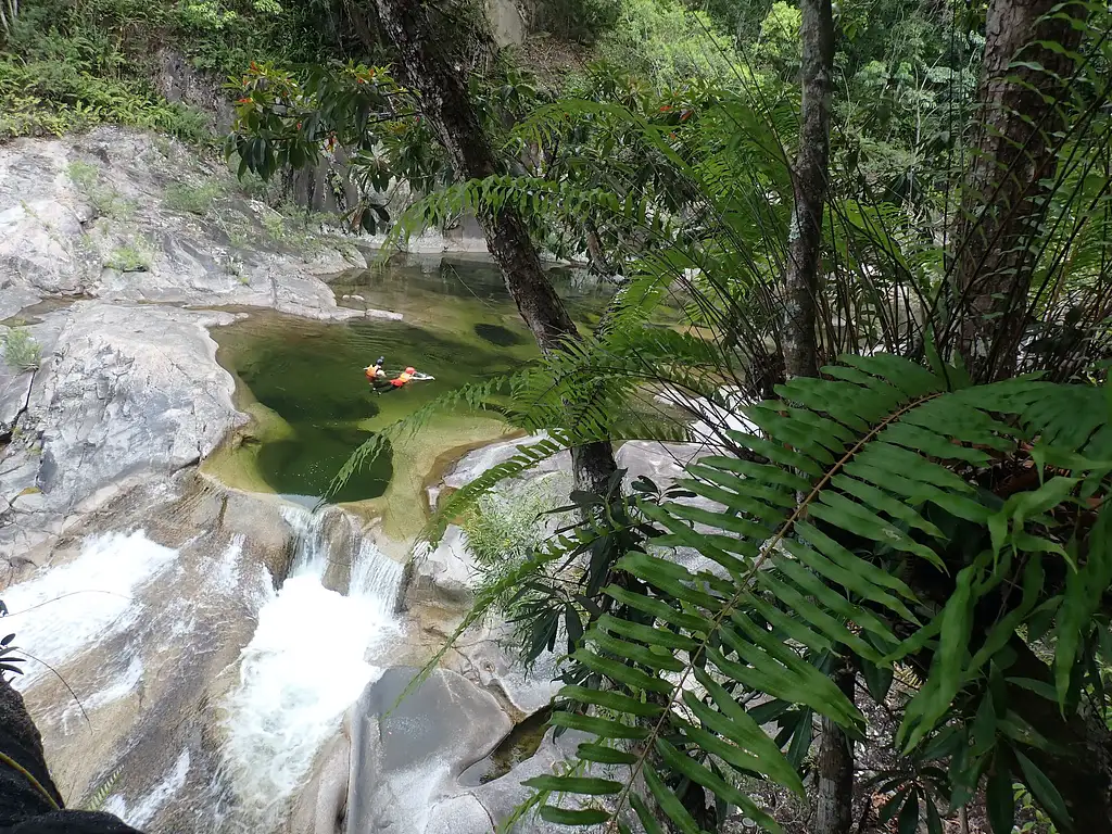 Waterfall & Rainforest Tour | From Cairns
