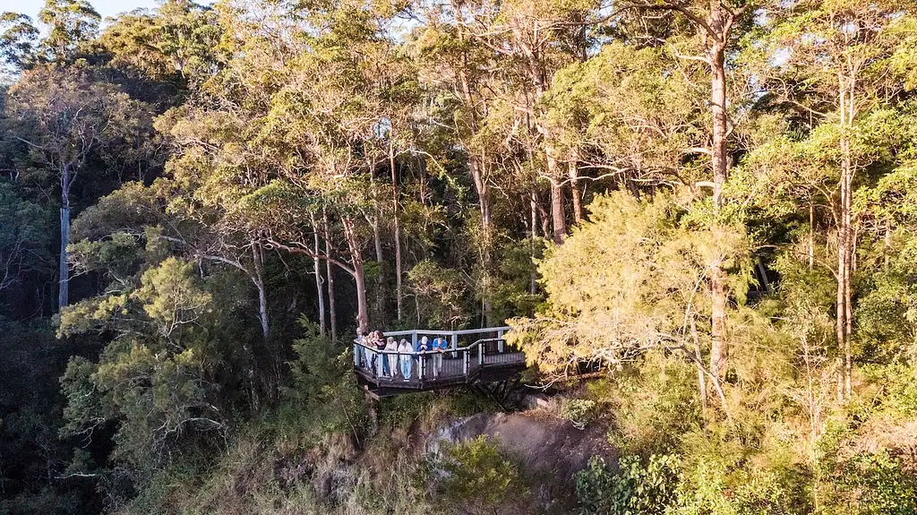 Sunshine Coast Hinterland Culinary Experience | Discover Montville & Malany