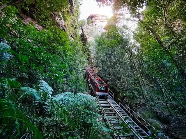 Blue Mountains & Featherdale Full Day Tour