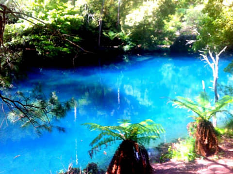 Jenolan Caves Tour