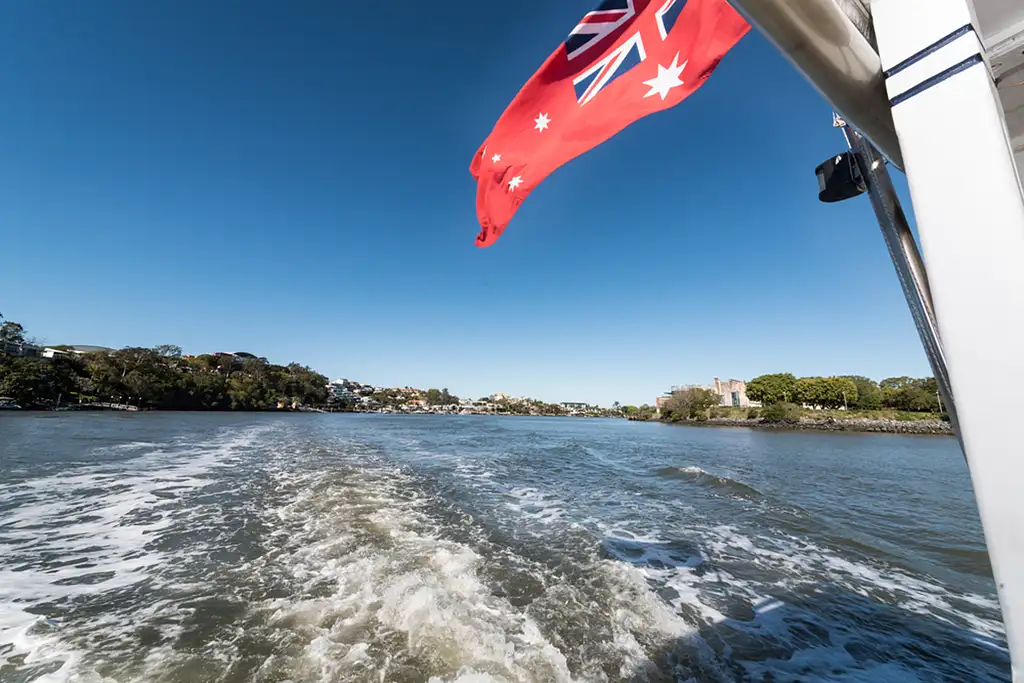 Morning Tea Sightseeing Cruise