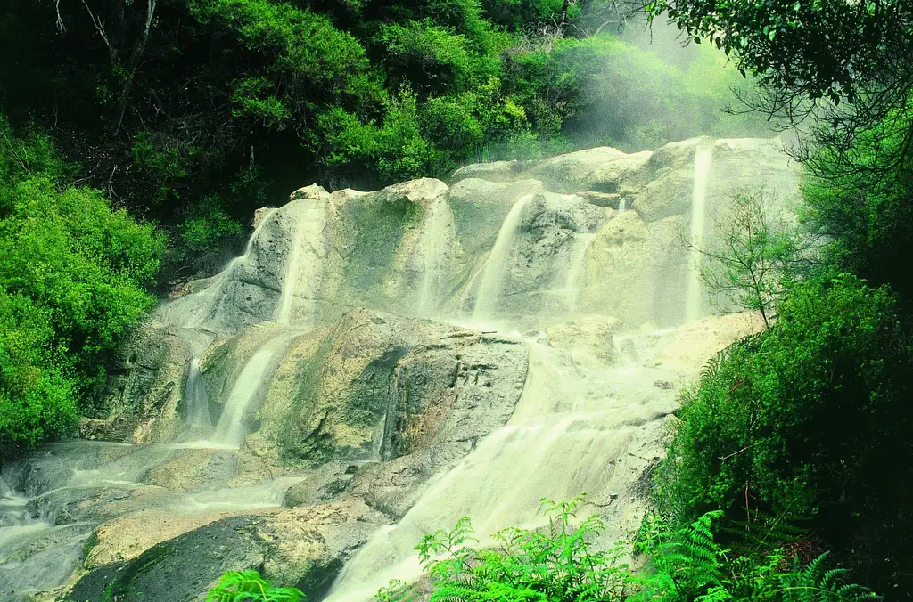 Hell's Gate Geothermal Walk Experience