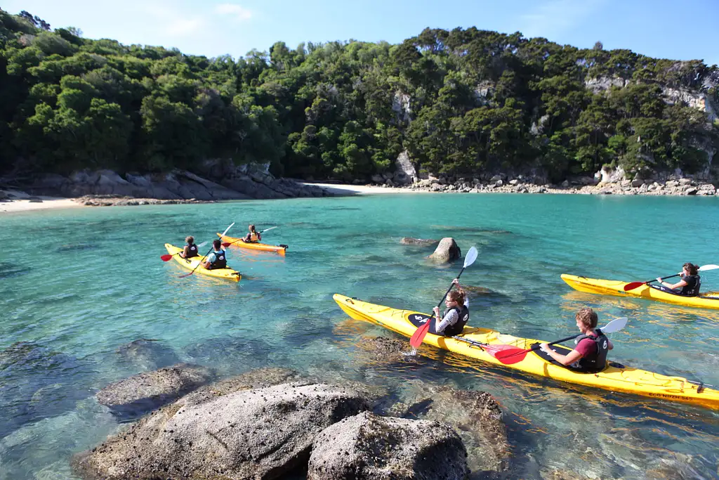Full Day or Half Day Family Cruiser - Marahau