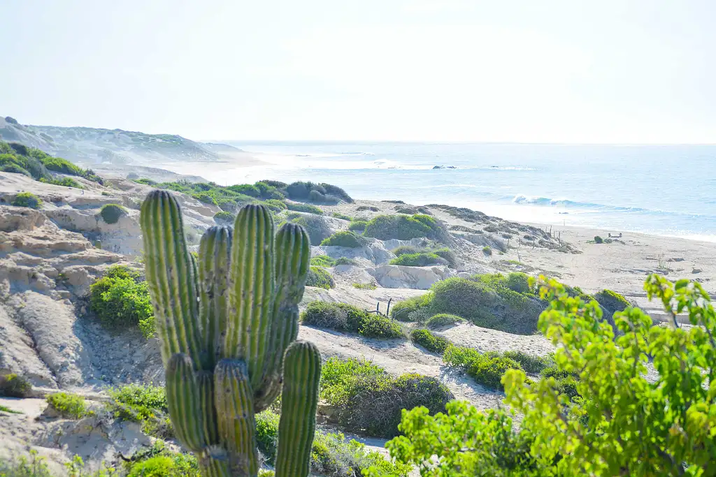 4WD Jeep Ride - National Park of Cabo Pulmo