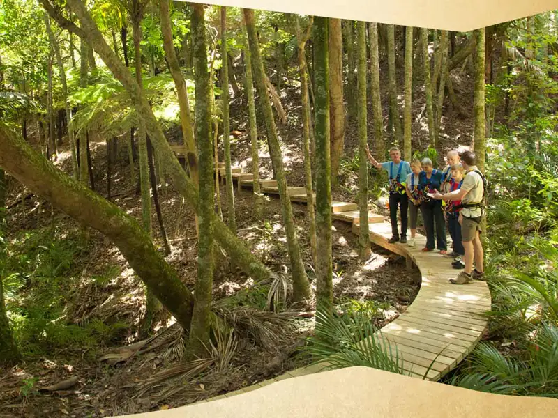 Waiheke EcoZip & Wine Tour
