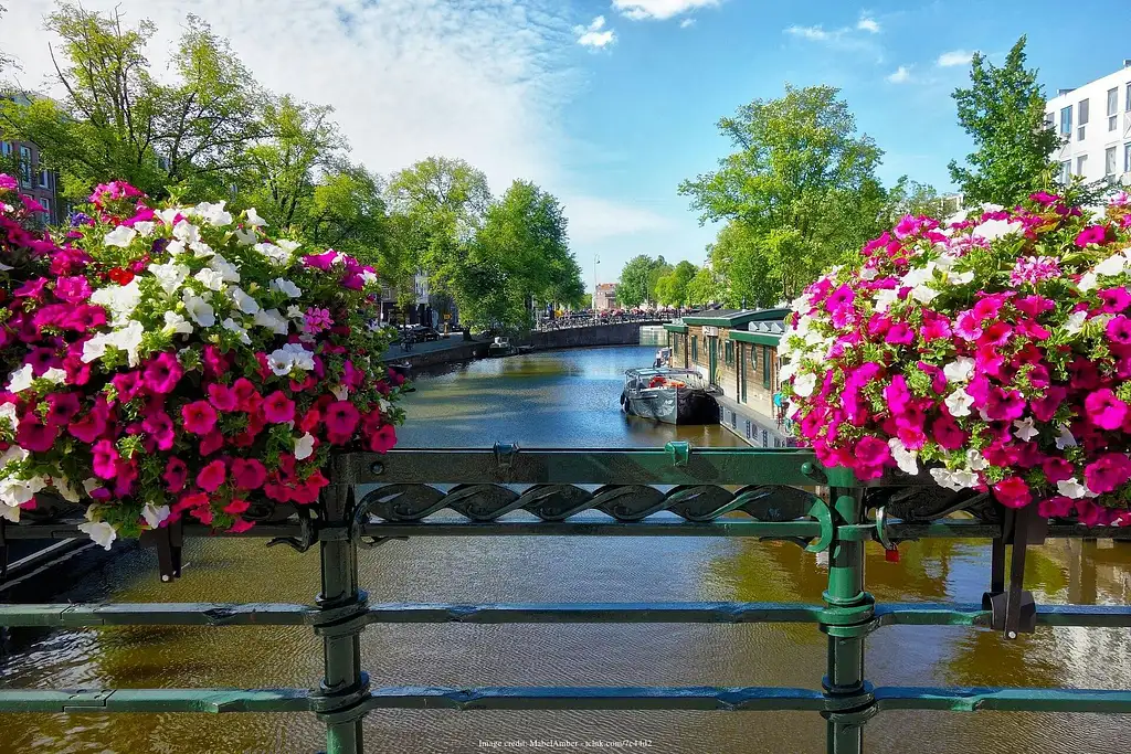 Best of Amsterdam private half-day tour with canal cruise tickets