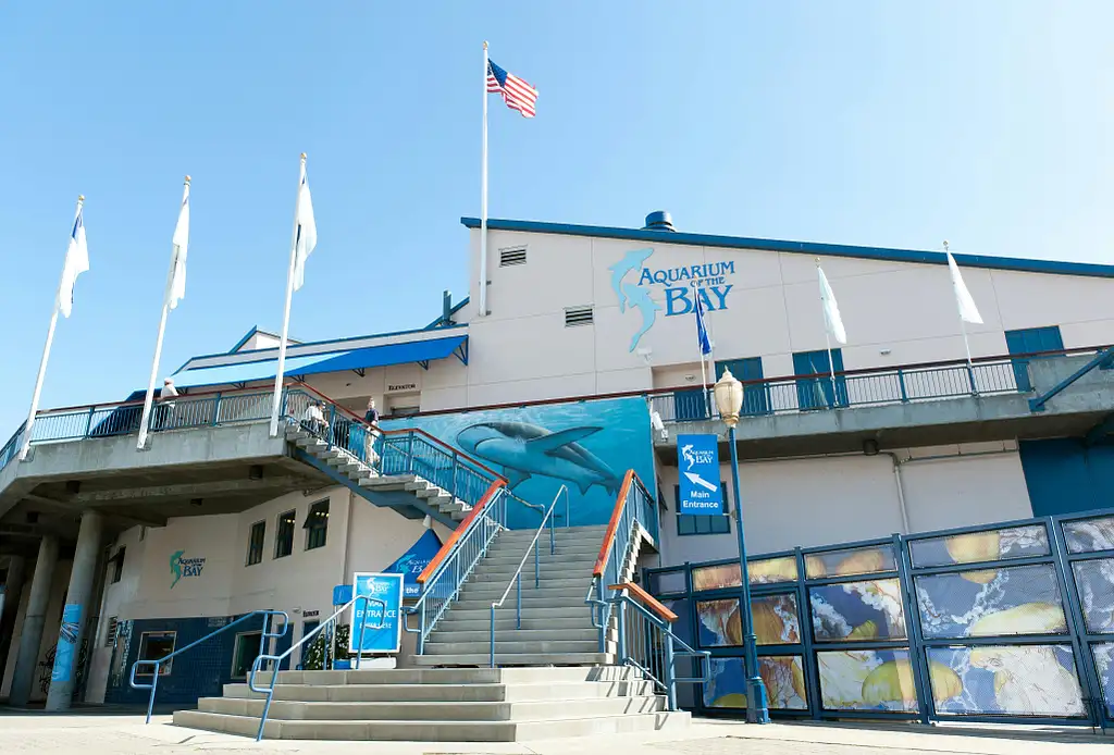 San Francisco Aquarium of The Bay Tickets