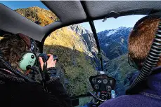 Mt Fyffe Summit - Helicopter Flight
