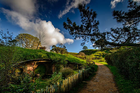 Hobbiton movie set tour promo code