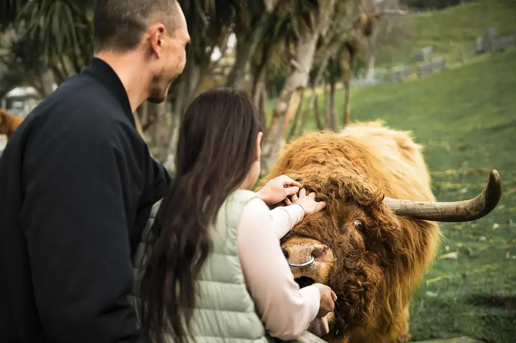 Walter Peak Farm Tour on TSS Earnslaw