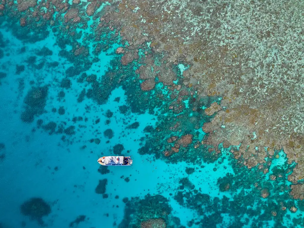 Great Barrier Reef Day Trip | Snorkel & Cert Dive Options