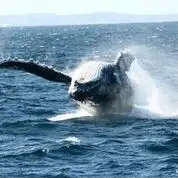 3 Day Margaret River Tour ex Perth