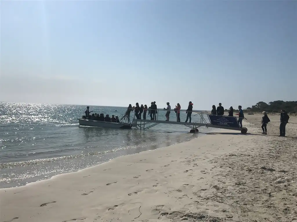Dunsborough Whale Watching Eco Tour