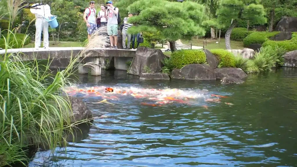 Himeji Castle Town Guided Bike Tour With Lunch | Half-day