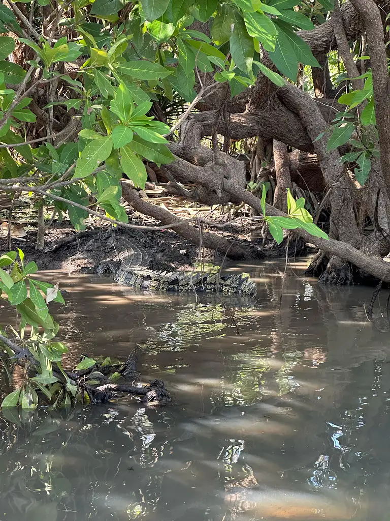 3 Day Kakadu & Litchfield 4WD Camping Tour (April to Sept) | From Darwin