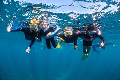 Ningaloo Reef Snorkeling Day Tour