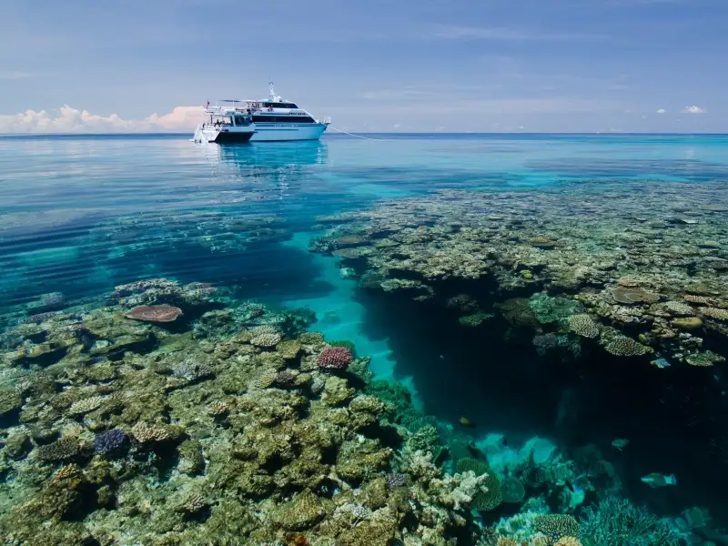 3 Day Great Barrier Reef Liveaboard Dive Trip