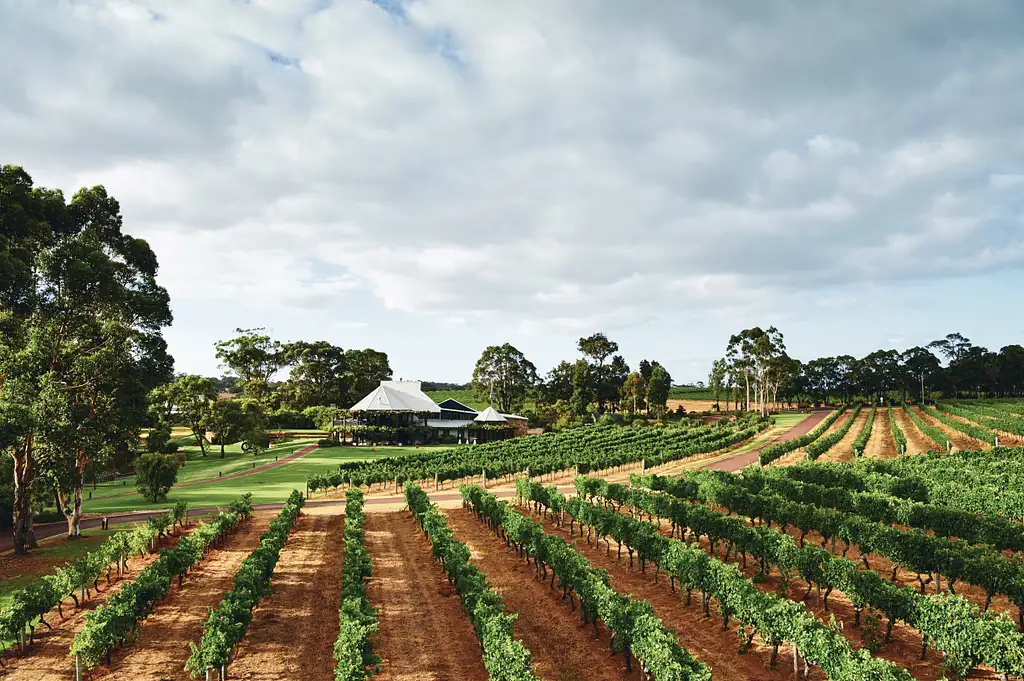 Gin / Wine Tasting Dinner in the Paddock Small Group Tour