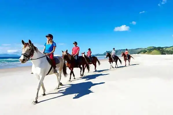 Auckland Beach Horse Riding Tour