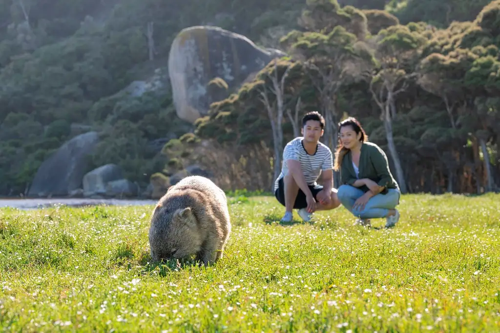 Wilsons Prom Small-group Day Tour ex Melbourne