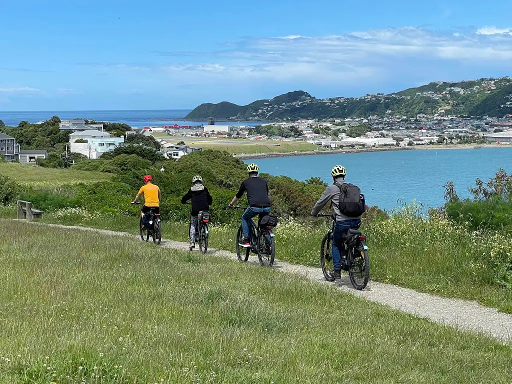 Wellington Full Day Bike Hire - Variety of Bikes (Electric, Mountain, Non-Electric)