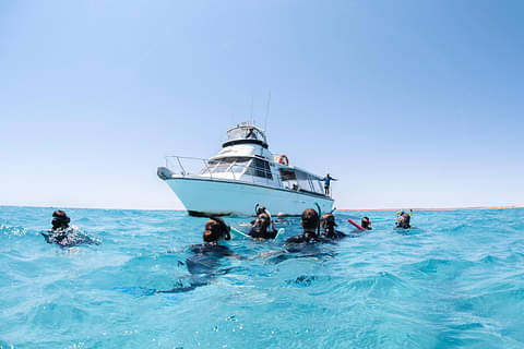 Humpback Whale Adventure Day Tour Ningaloo Reef