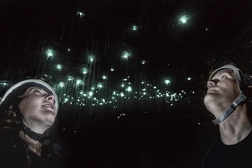 Glow Worm Cave Tour | West Coast