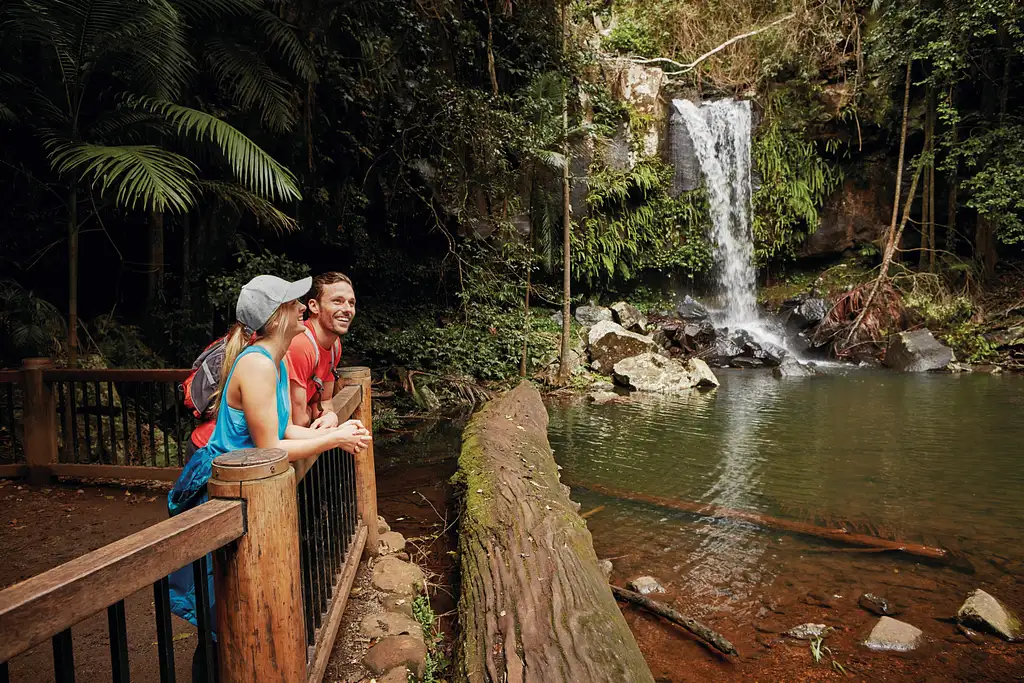 Mt Tamborine Hop on Hop Off Bus | From Brisbane or Gold Coast