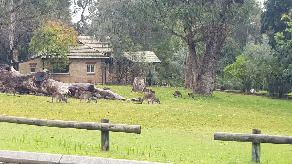 Yanchep, Koalas & Crystal Cave Tour - ex Perth
