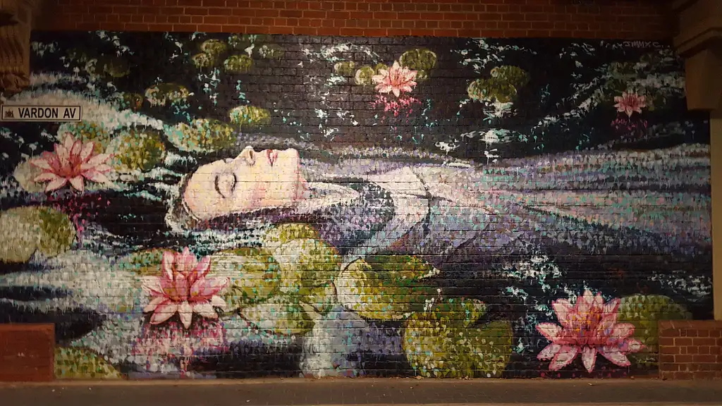 Jimmy C Adelaide Street Art Tour