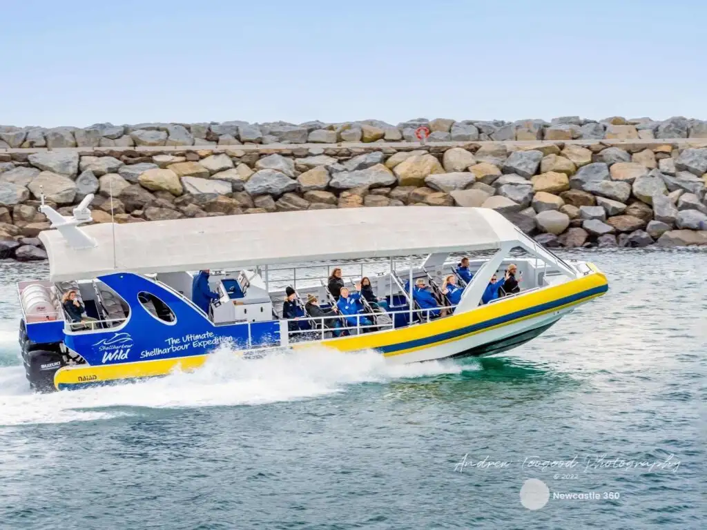 Shellharbour Whale Watching Cruise | From Shell Cove
