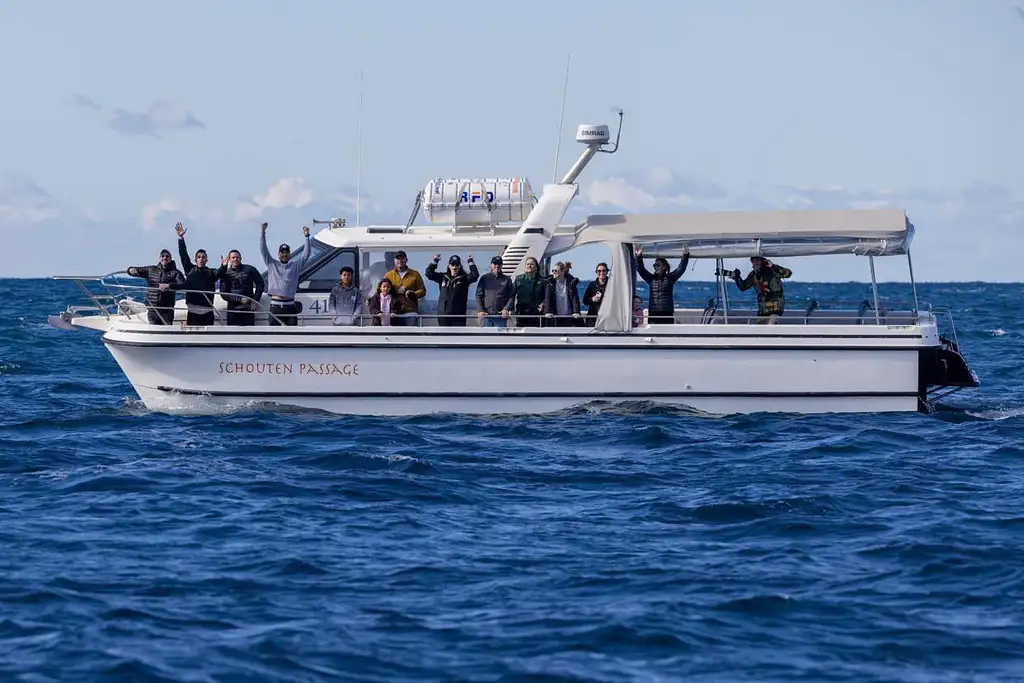 Sydney Whale Watching Experience | Small Ggroup