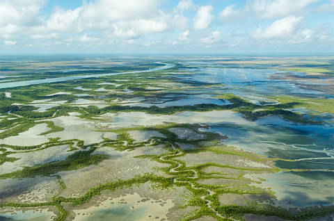 Kakadu in a Day Flight Tour deals